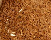 Field cumin (80g)