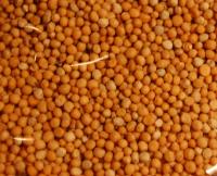 Yellow mustard seeds (80g)