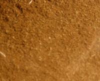 Basilic moulu (50g)