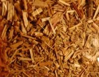 Reine des prs (60g)