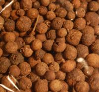 Jamaican Chili (40g)
