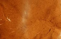 Muscade moulue (60g)