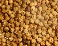 Poivre vert (50g)