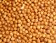 Coriandre (80g) Coriandre (80g)