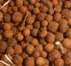 Jamaika Chili (40g) Jamaika Chili (40g)