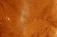 Nutmeg (ground) (60g)