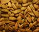 Cardamone verte (50g) Cardamone verte (50g)