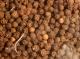 Black pepper (80g) Black pepper (80g)
